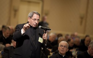 ARCHBISHOP MYERS ADDRESSES U.S. BISHOPS FROM FLOOR AT ANNUAL MEETING