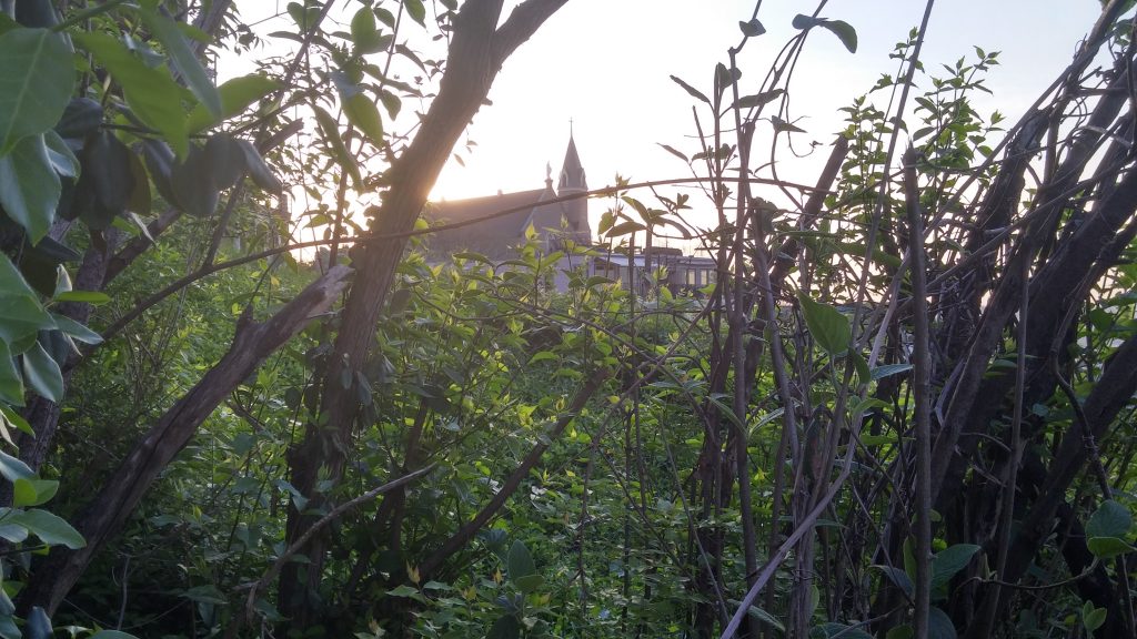 As one walks away from a prayerful morning, Holy Cross Immaculata Church in the distance. (Greg Hartman/CT Photo)