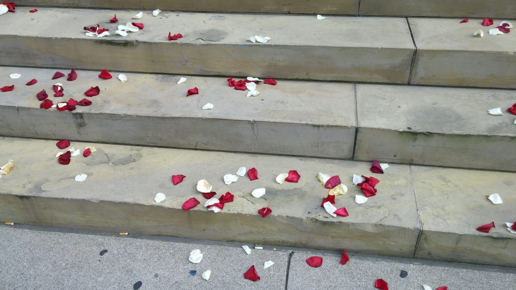 Rose pedals adorned the steps of Old St. Mary's on July 3, 2017 on their 175th anniversary (CT Photo/Greg Hartman)