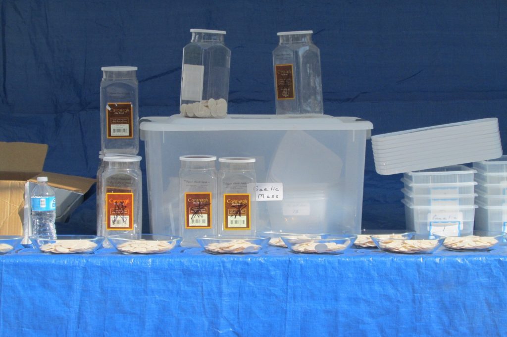 Hosts prepared for the Mass, waiting on a table behind the tent. (CT Photo/Gail Finke)