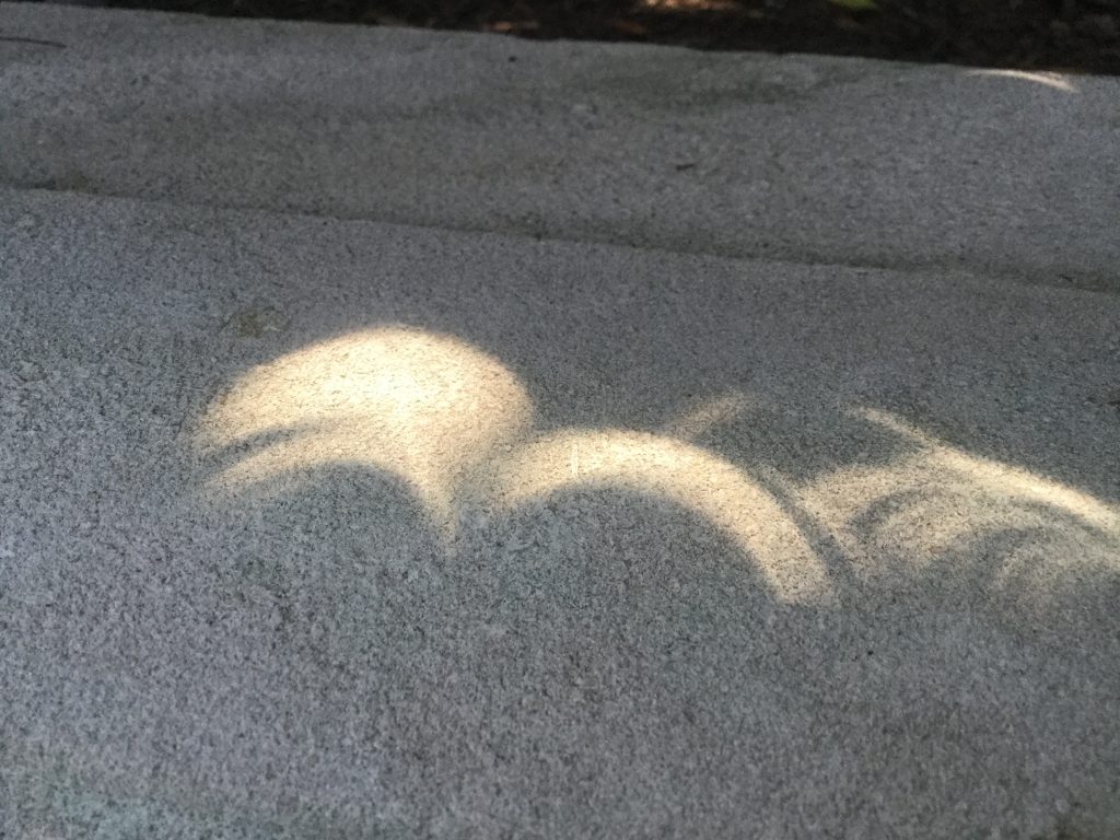 Shadows on the steps at St. Peter in Chains Cathedral (CT Photo/Greg Hartman)