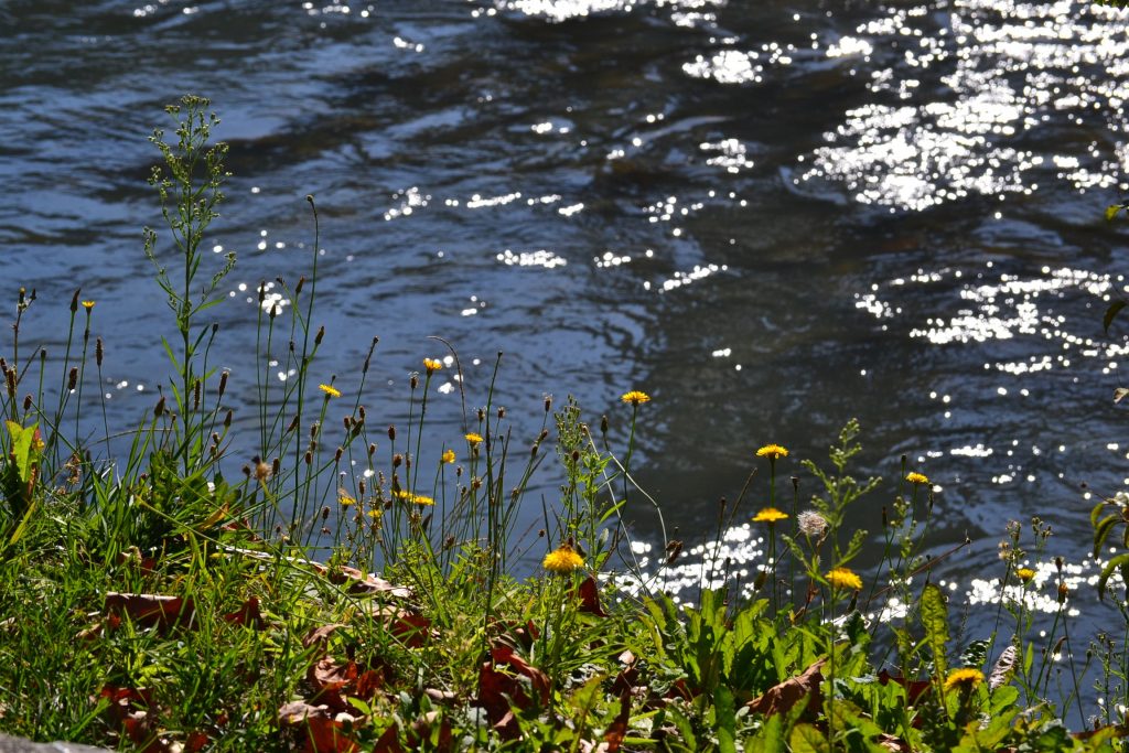 The river Gave de Pau river flows by Lourdes France. The river begins in the Pyrenees Mountains and runs approximately 114 miles. (CT Photo/Greg Hartman)