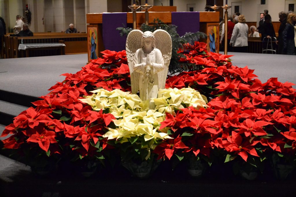 The Guardian Angel surrounded by seasonal Poinsettias awaiting the Christmas Season (CT Photo/Greg Hartman)