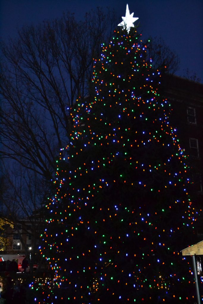 Oh Christmas Tree, Oh Christmas Tree, How faithful are thy branches. (CT Photo/Greg Hartman)