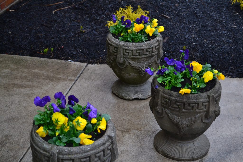 Flowers watered in Holy Thursday rain at St. Aloysius Gonzaga in Bridgetown. (CT Photo/Greg Hartman)