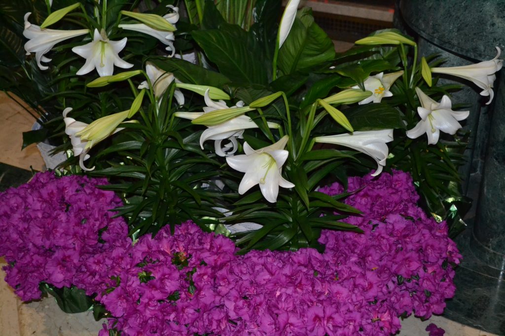 Easter Lillies greeted the faithful as they entered the historic St. Peter in Chains Cathedral. (CT Photo/Greg Hartman)