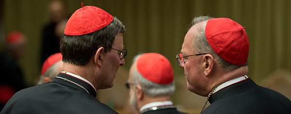 Cardinals Woelki, Dolan talk in synod hall at Vatican during general congregation meeting