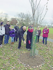 Earth Shepherds members Marianne and James Heileman place mulch around a Kentucky Yellowwood tree planted on Good Shepherd Parish grounds Dec. 11, as other members of the group look on. The environmental stewardship group dedicated the tree to Pope Francis. (Courtesy Photo)