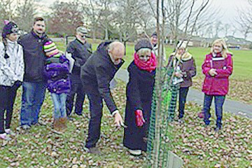 Earth Shepherds members Marianne and James Heileman place mulch around a Kentucky Yellowwood tree planted on Good Shepherd Parish grounds Dec. 11, as other members of the group look on. The environmental stewardship group dedicated the tree to Pope Francis. (Courtesy Photo)