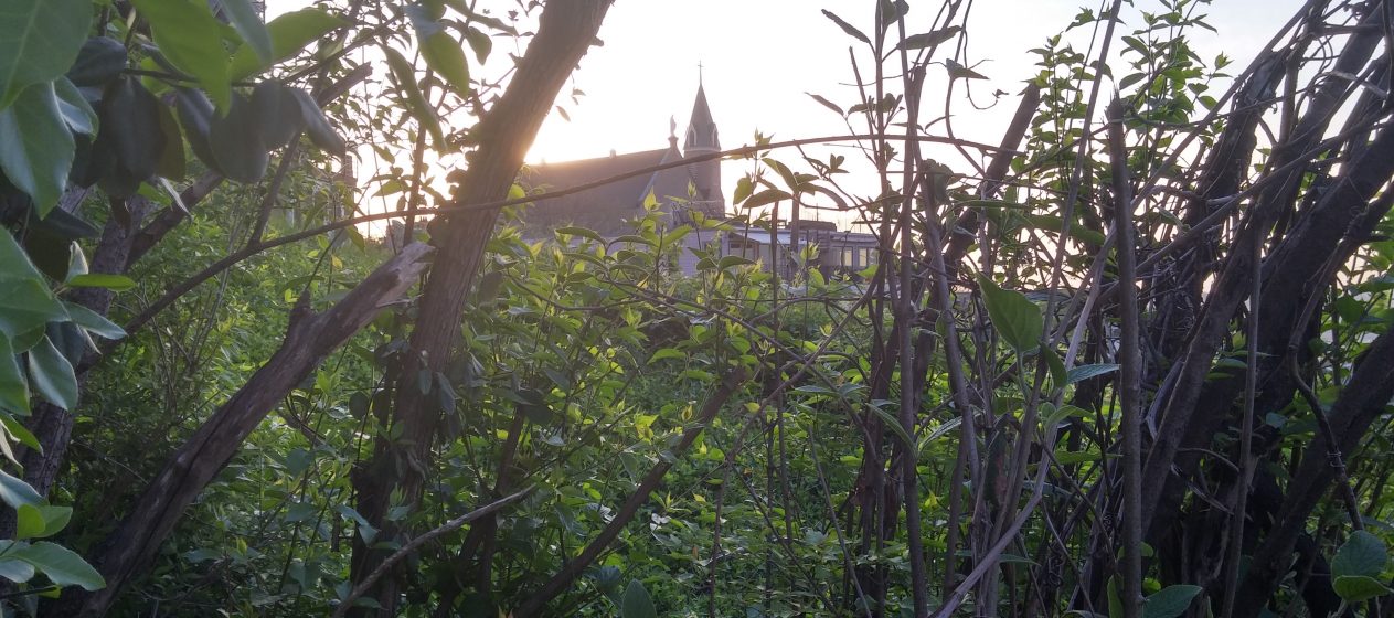 As one walks away from a prayerful morning, Holy Cross Immaculata Church in the distance. (Greg Hartman/CT Photo)
