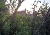 As one walks away from a prayerful morning, Holy Cross Immaculata Church in the distance. (Greg Hartman/CT Photo)