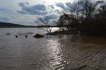 Floodwaters encroach St. Rose's parking lot. (CT Photo/Greg Hartman)