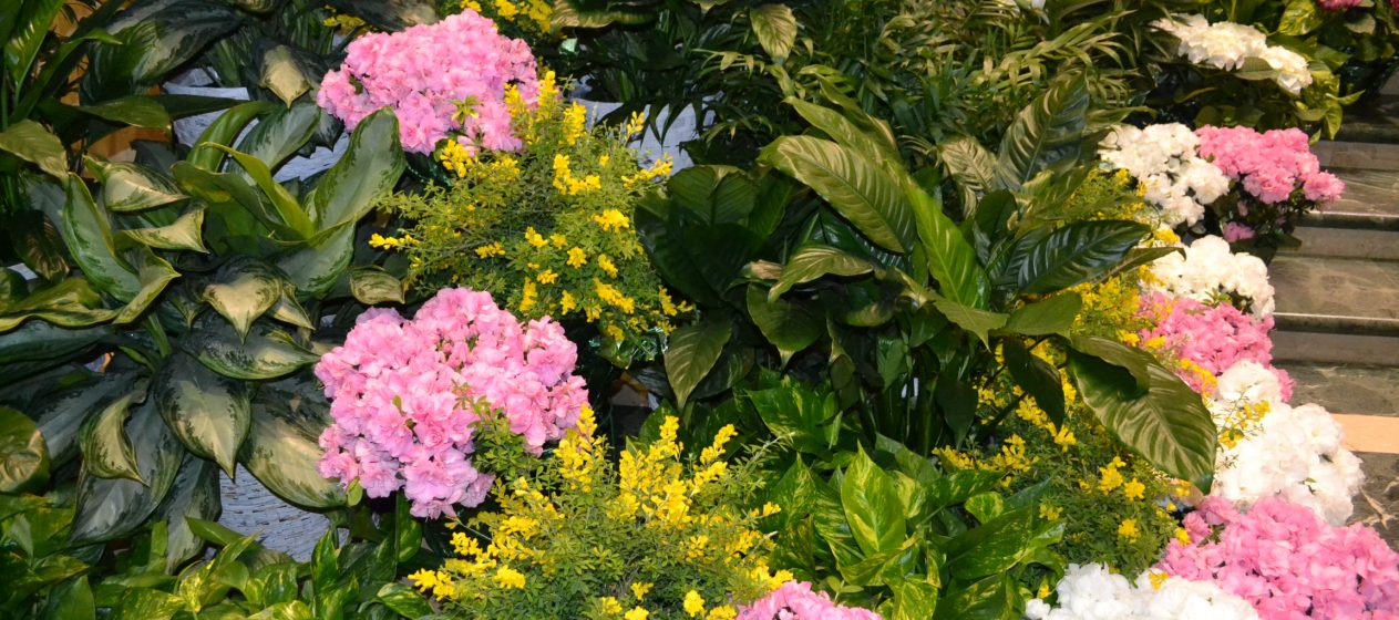 The staff at The Cathedral worked many hours to decorate the altar. (CT Photo/Greg Hartman)