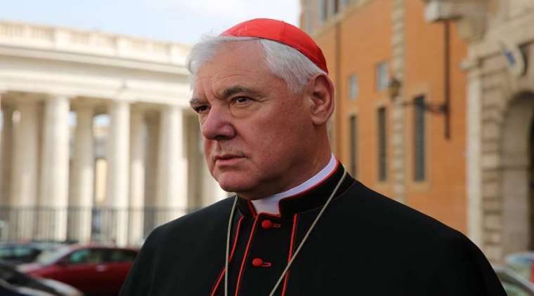 Cardinal Gerhard Ludwig Mueller. Credit: Daniel Ibanez/CNA.