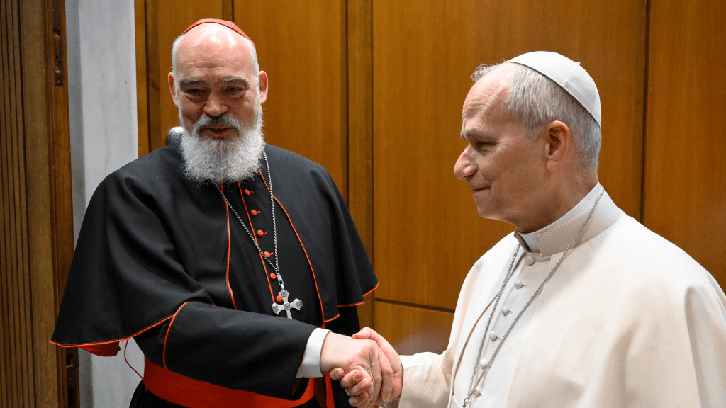 Tehran cardinal meets with Pope Leo XIV after being evacuated from Iran