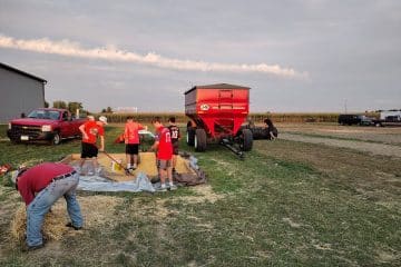 Group of young men working on a farm